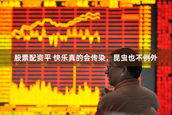 股票配资平 快乐真的会传染，昆虫也不例外
